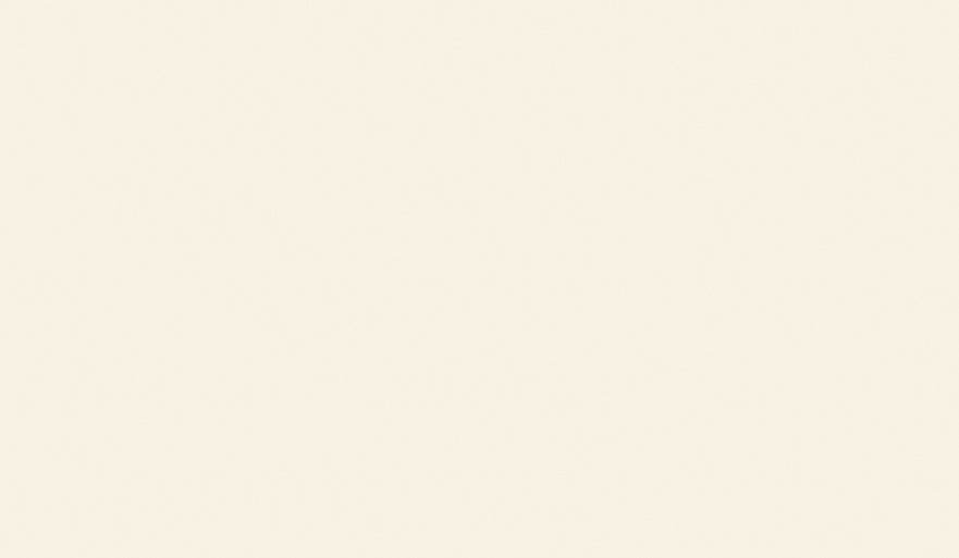 Laminate EGGER W1200 ST9 Porcelain White Laminate EGGER W1200 ST9 Porcelain White